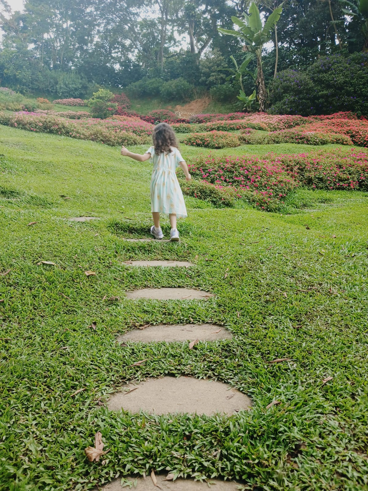 Muerte en la calle 33